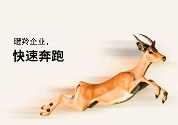 喜报！广州研恒入选广州市“瞪羚企业”